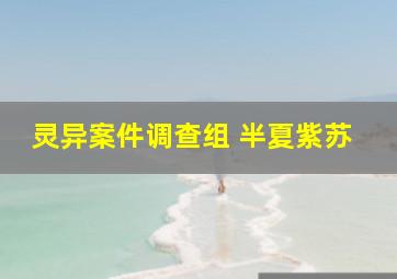 灵异案件调查组 半夏紫苏